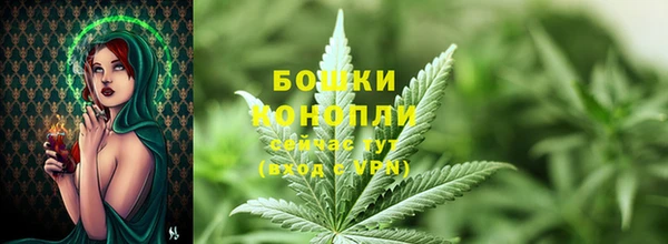 амф Новокубанск
